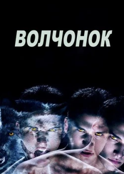 Оборотень / Волчонок смотреть онлайн
